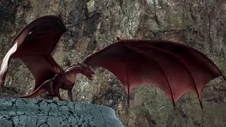 Dragon Animation - Unreal Engine 5.2 (2023) 4k
