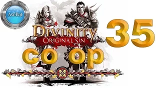 Divinity Original Sin Co-op Walkthrough part 35 Well Well Well