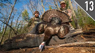 PUBLIC LAND Turkey Hunting with MEATEATER!!! (The Whole Flock Came In!)