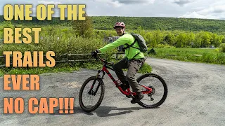 Elm Ridge Wild Forest NY MTB (Windham Trails)