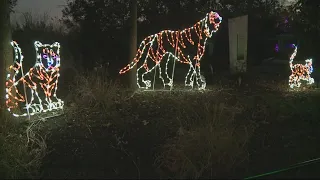 Smithsonian's Zoo Lights will not be free this year