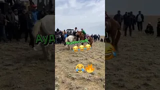 🔥🔥🤣🤣Аударыспақ Палуан Палуанды Ат Палуанды жықты🤣🤣🔥🔥 #compilation #horse #war #horseriding #rek