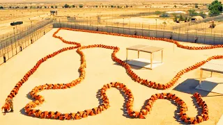 【Full Version】Thousands of prisoners were sewn together head to tail to form a human centipede!