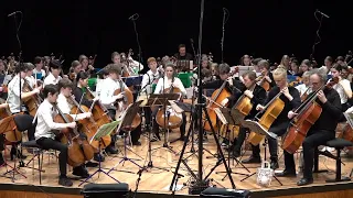 "Poison" Celloversum 2024 RMS Cello Big Band