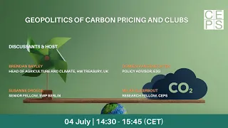 Geopolitics of carbon pricing and clubs