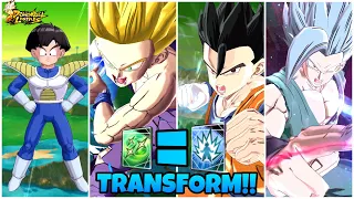 🔥GOHAN STEP BY STEP TRANSFORMATION!!!🔥dragon ball legends