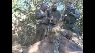 LEOPARD HUNTING - ZIMBABWE 2013,JUNE