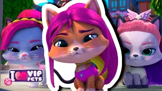 😻 Las GATAS al PODER 😼 VIP PETS 🌈 CAPÍTULOS COMPLETOS 💕 DIBUJOS ANIMADOS para NIÑOS en ESPAÑOL