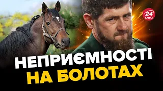 🤣В КАДИРОВА вкрали коня / На Росії вітають вдів окупантів