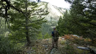 How to Find the Best Elk Hunting Areas