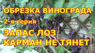 ч 2. ЧаВо. ОБРЕЗКА ВИНОГРАДА: СКОЛЬКО ЛОЗ ОСТАВЛЯТЬ? ЧАСТЫЕ ВОПРОСЫ. 2 я серия.