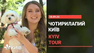 Dogs friendly Kyiv : куди піти з собакою в столиці