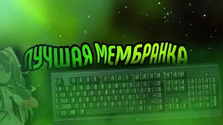 Обзор на клавиатуру razer cynosa lite / Лучшая мембранка / Лучшая клавиатура за 2500₽