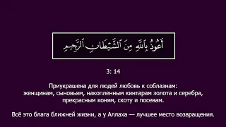 Abdul Rahman Ar-Rashood. 3 Али Имран (Семейство Имрана), аяты 15-18