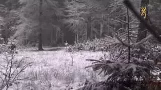 Browning wildlife scenes - Video January 2015