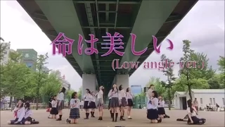 『命は美しい』　踊ってみた　（Low angle ver.） 【百合坂46】