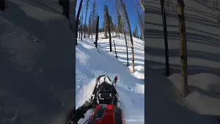 Polaris 9R rips #polaris9R #polarissnowmobiles #summersucks #rip #winterriding  #sledders