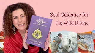 Wild Kuan Yin Oracle The Velvet Goddess Edition | Alana Fairchild with @BlueAngelPublishing