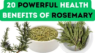 20 POWERFUL HEALTH BENEFITS OF ROSEMARY