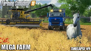 Harvesting CARROTS Day 2 + HORSE EXPANSION | MEGA FARM Challenge | Farming Simulator 19 | Episode 49