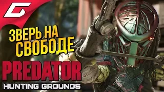 PREDATOR: Hunting Grounds ➤ ДИКИЙ сливной ХИЩНИК