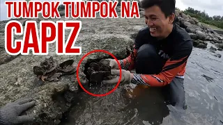 Mga Bulto Bultong Capiz at Tahong Nasa Gilid lang