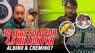 30 Eggs Sold For 4.5 Million PKR 👊| Albino & Cremino ⬆️❓