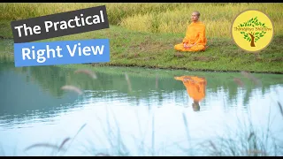 The Practical Meaning of Right View:How the Buddha-to-be see the world|Thanajayo Bhikkhu|28 May 2022