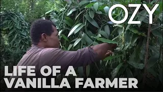 Madagascar: Life of a Village Vanilla Farmer | Around The World | OZY