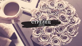 Стрелец и 2019