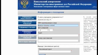 Как правильно заполнить электронную форму российской визовой анкеты