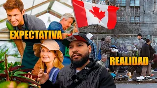 LA VERDAD DE TRABAJAR sin papeles en CANADA  🍁 | contada POR LATINOS