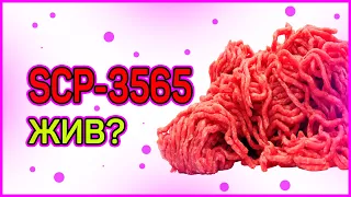 SCP-3565 ЖИВ? || Мистика || SCP Foundation || VeR BaN || Creppypasta