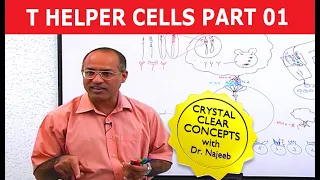 T Helper Cells - Immunology - Part 1/10
