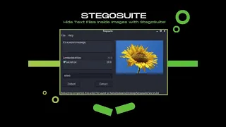 Stegosuite || Text file embedding into jpg