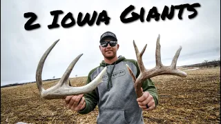 2 Giant Sheds From Different Bucks!! | Iowa Shed Hunting