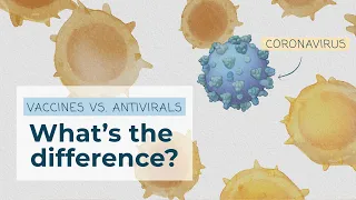 COVID-19 Vaccines vs. Antivirals: What’s the difference?