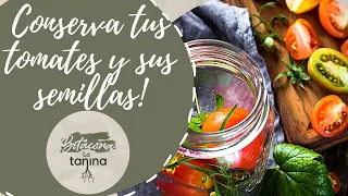 Conserva TODO del TOMATE🍅!! También las SEMILLAS!!😜