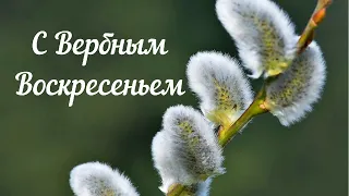 #С Вербным Воскресеньем #красивое поздравление