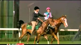 31.03.2012 Meydan (Dubai UAE) 7.Race Dubai Duty Free 2012 - Group I 1.800 m