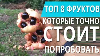 ТОП 8 ЭКЗОТИЧЕСКИХ ФРУКТОВ, КОТОРЫЕ СТОИТ ПОПРОБОВАТЬ // Лонган, Джекфрут, Дуриан // Я КОРОЧЕ СОБРАЛ