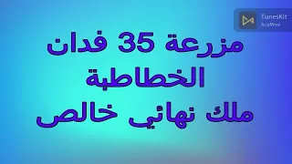 35 فدان الخطاطبة  ملك نهائي