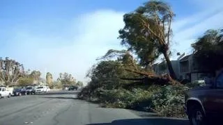 Windstorm in Palm Springs on Saturday, January 21, 2012