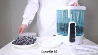 Fruit And Vegetable Purifier Test Review