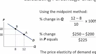 Economics Tutorial: Calculating Elasticity of Demand and Supply