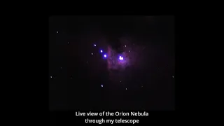 Orion Nebula | Telescope live view