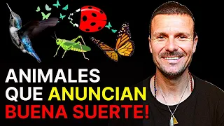 Animales Que Anuncian La BUENA SUERTE (Se Te Aparecen Para Anunciarte Que Te Llegará La BUENA SUERTE