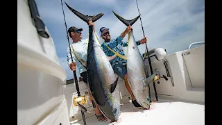 Double hook up Yellowfin Tuna on the Nomad DTX minnow