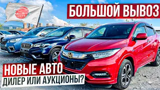 🚗Автомобильные НОВИНКИ из Японии🎌Большой вывоз. Эти модели лучше чем от дилера!?🤔