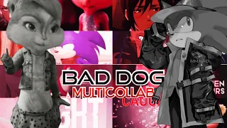 Chipettes x Animash - Bad Dog || Multi-Collab